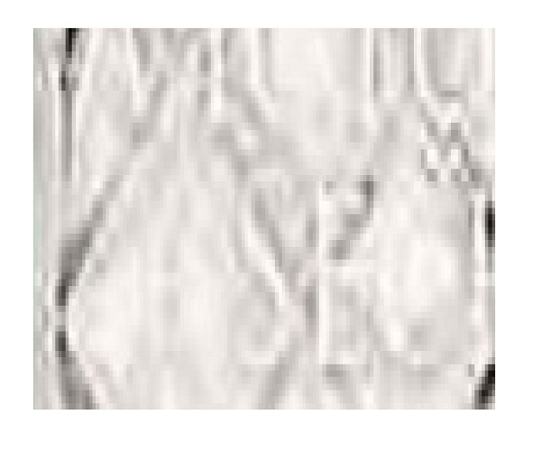 Victoria's Secret Paris Perfume (Women) Type Body Oils Victoria's Secret Paris Perfume (Women) Type Body Oils